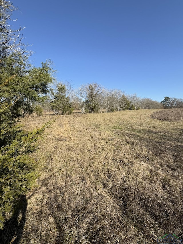 Listing photo 2 for TBD Peach Road, Gilmer TX 75644