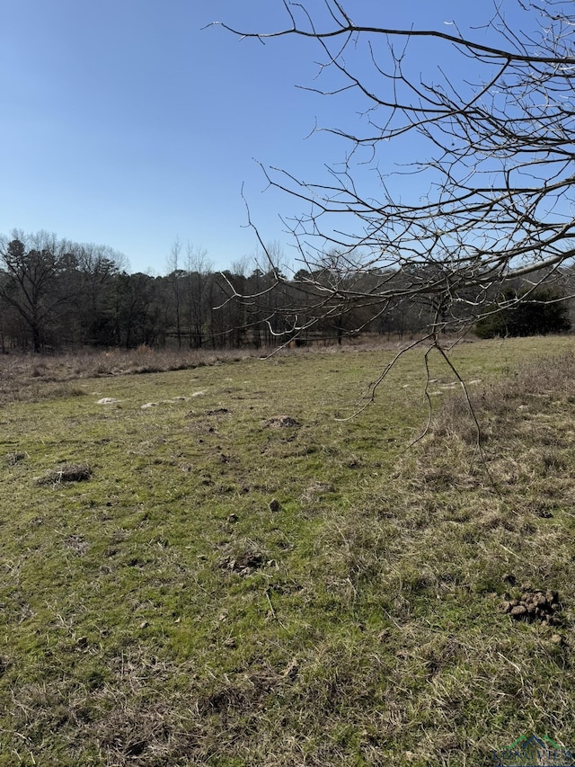 Listing photo 3 for TBD Peach Road, Gilmer TX 75644