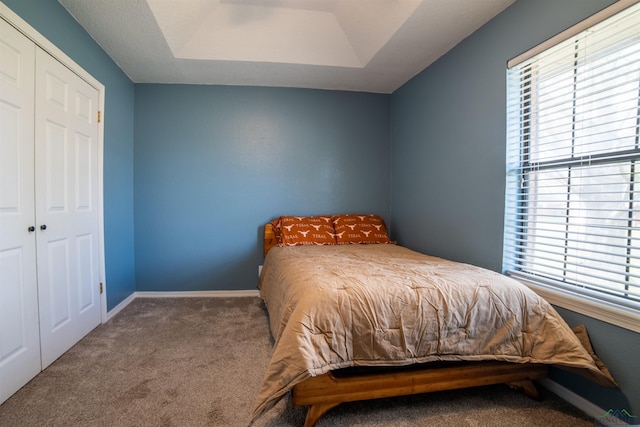 carpeted bedroom featuring a raised ceiling and a closet