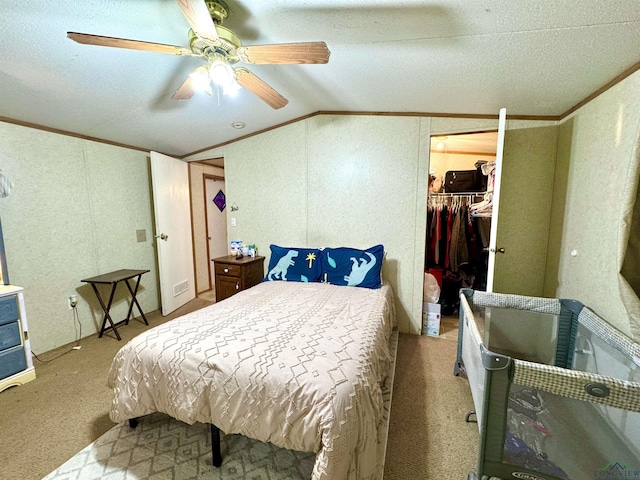 bedroom with ceiling fan, carpet floors, a walk in closet, a closet, and ornamental molding