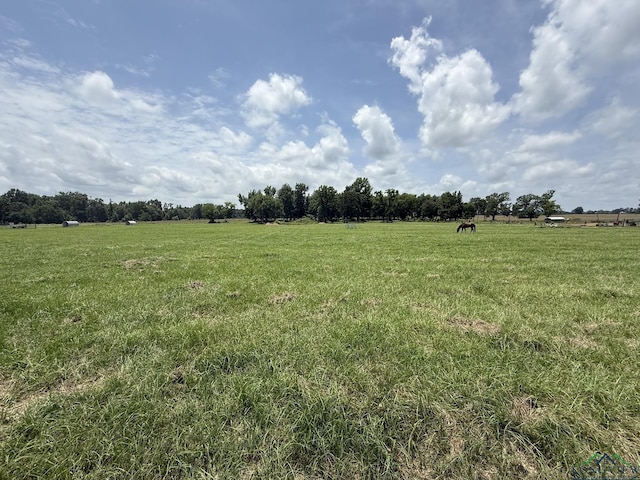 TBD Fm 993, Pittsburg, TX 75686