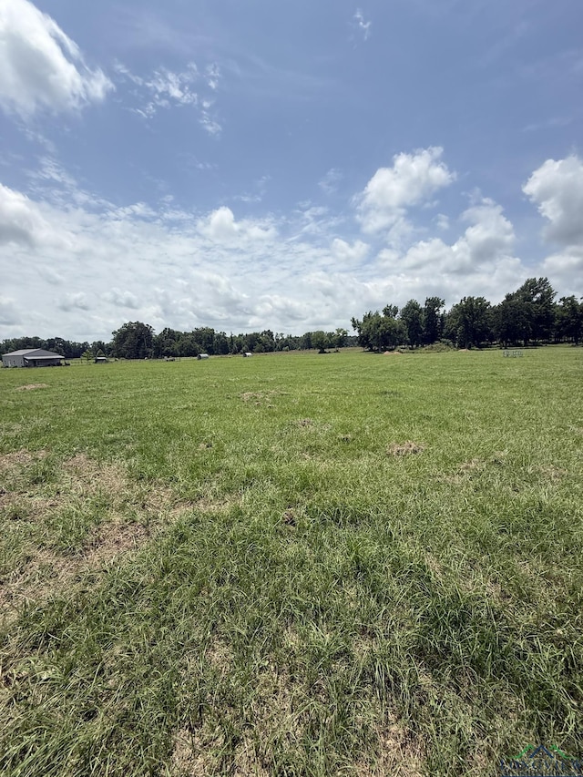 TBD Fm 993, Pittsburg, TX 75686