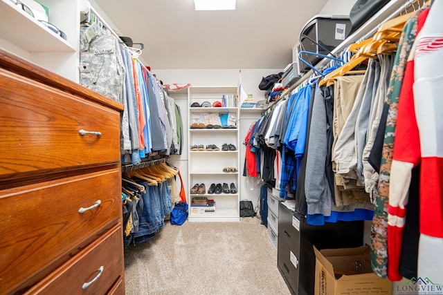 walk in closet with light colored carpet