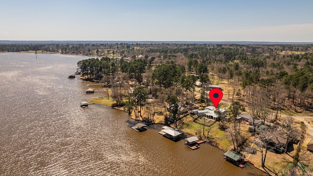 aerial view featuring a wooded view and a water view