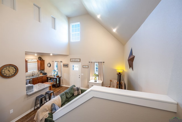 living room with sink, a towering ceiling, and dark wood-type flooring