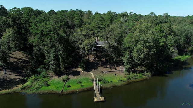 property view of water with a dock