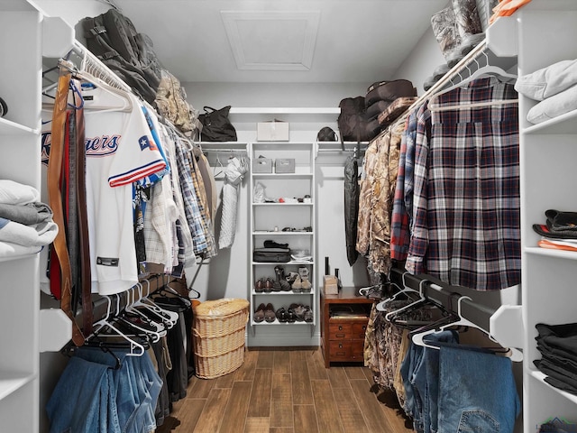 walk in closet with dark hardwood / wood-style flooring