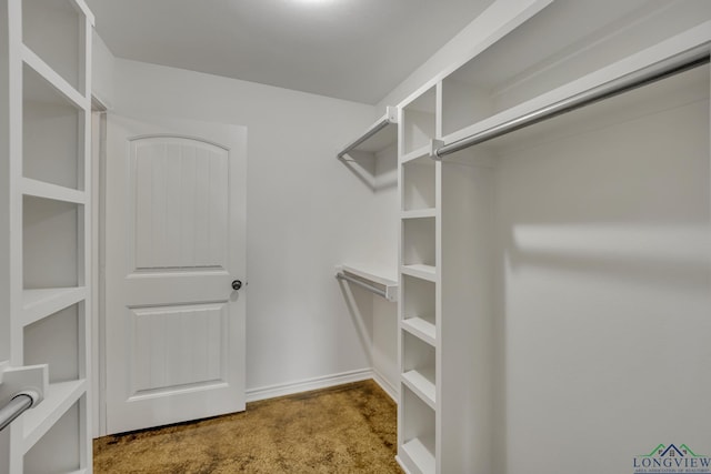 spacious closet featuring light colored carpet