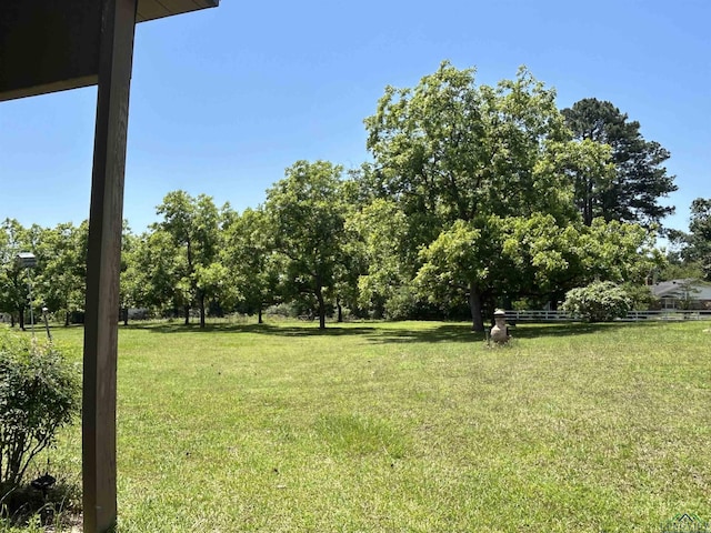 9673 Pleasant Hollow Rd, Tyler, TX 75709 - photo 46