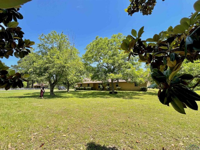 9673 Pleasant Hollow Rd, Tyler, TX 75709 - photo 3