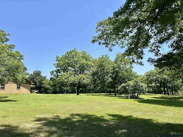 9673 Pleasant Hollow Rd, Tyler, TX 75709 - photo 47