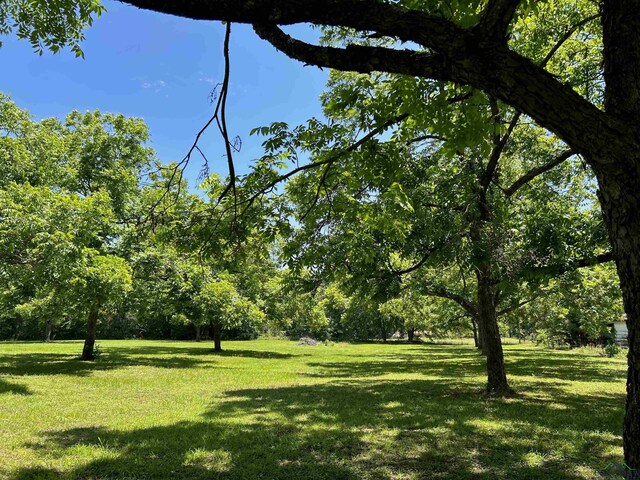 9673 Pleasant Hollow Rd, Tyler, TX 75709 - photo 44