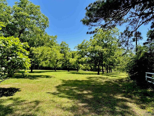 9673 Pleasant Hollow Rd, Tyler, TX 75709 - photo 42