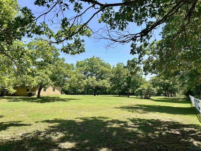 9673 Pleasant Hollow Rd, Tyler, TX 75709 - photo 41