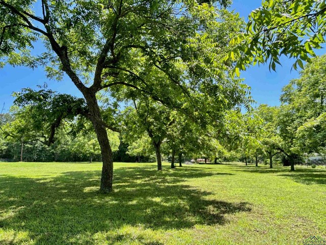 9673 Pleasant Hollow Rd, Tyler, TX 75709 - photo 19