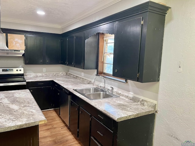 kitchen featuring crown molding, sink, a textured ceiling, stainless steel appliances, and extractor fan