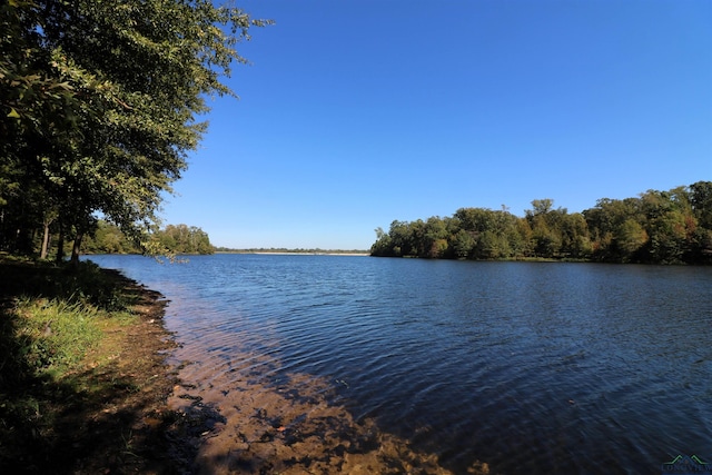 Listing photo 3 for LOT19, BLOCK3 John Dean Rd, Gilmer TX 75644