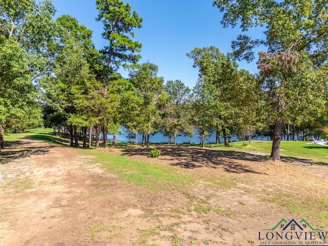 LOT25 John Dean Rd, Gilmer, TX 75644 - photo 7