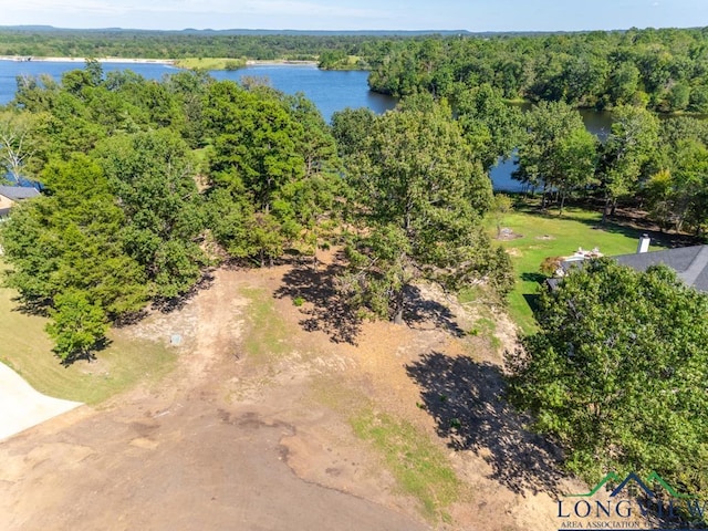 LOT25 John Dean Rd, Gilmer, TX 75644 - photo 6