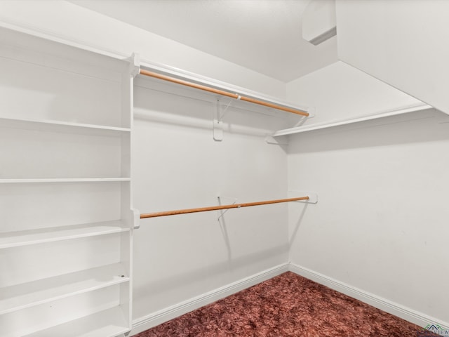 spacious closet featuring carpet