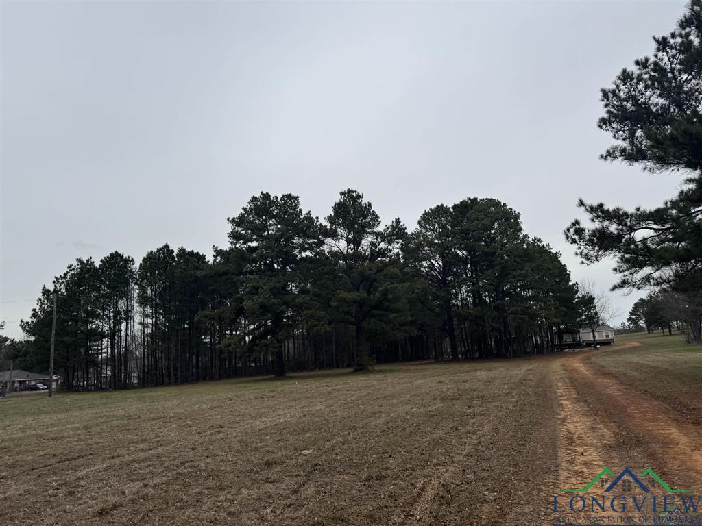 510 W Sterling Price St, Tatum, TX 75691 - photo 1