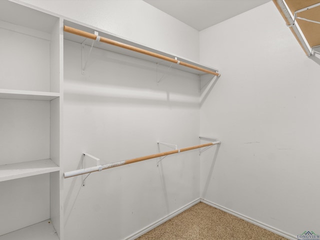 walk in closet with carpet floors