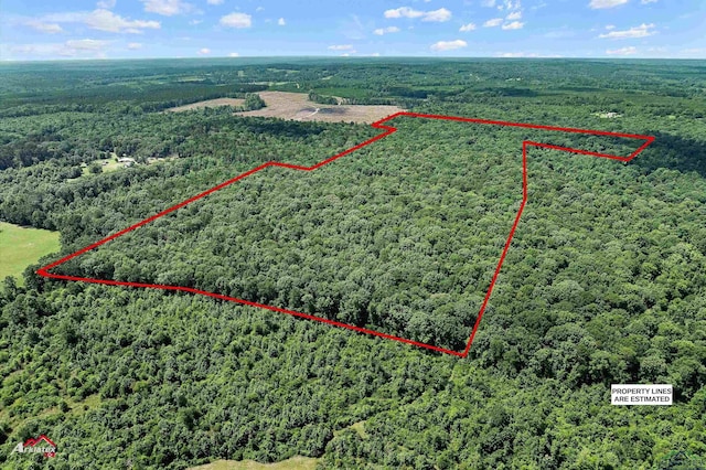 TBD County Road 1754, Gary, TX 75643 - photo 3