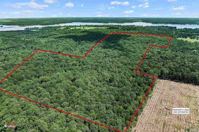 TBD County Road 1754, Gary, TX 75643 - photo 5