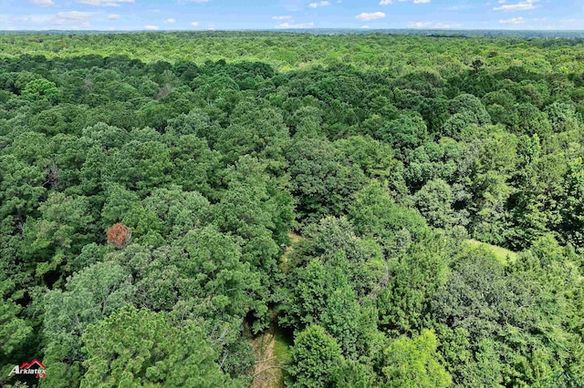TBD County Road 1754, Gary, TX 75643 - photo 1