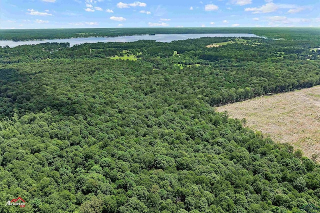 TBD County Road 1754, Gary, TX 75643 - photo 4