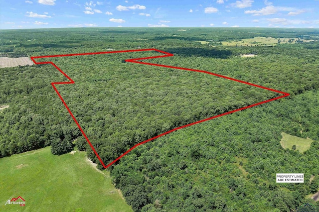 TBD County Road 1754, Gary, TX 75643 - photo 2