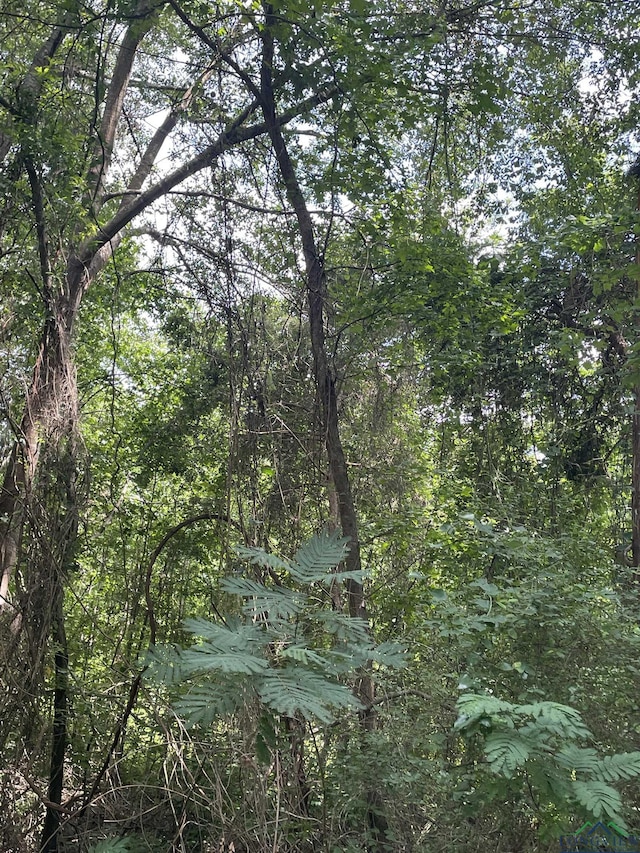 TBD Fm 557, Pittsburg, TX 75686