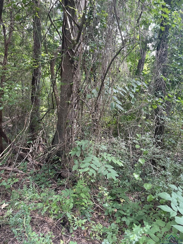 TBD Fm 557, Pittsburg, TX 75686