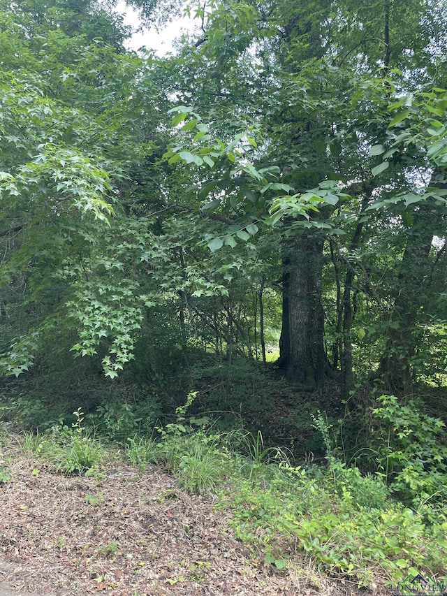 TBD Fm 557, Pittsburg, TX 75686