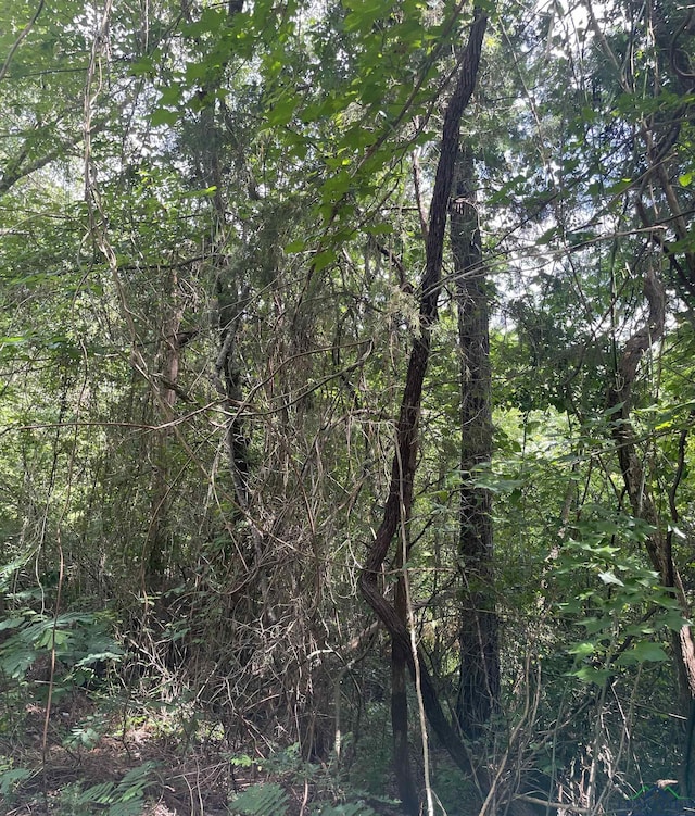 TBD Fm 557, Pittsburg, TX 75686