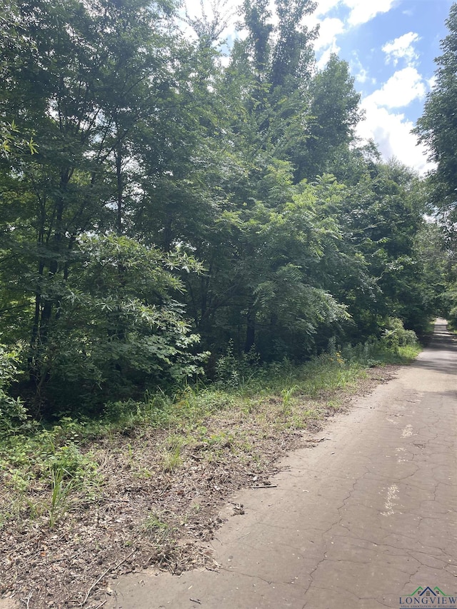 TBD Fm 557, Pittsburg, TX 75686