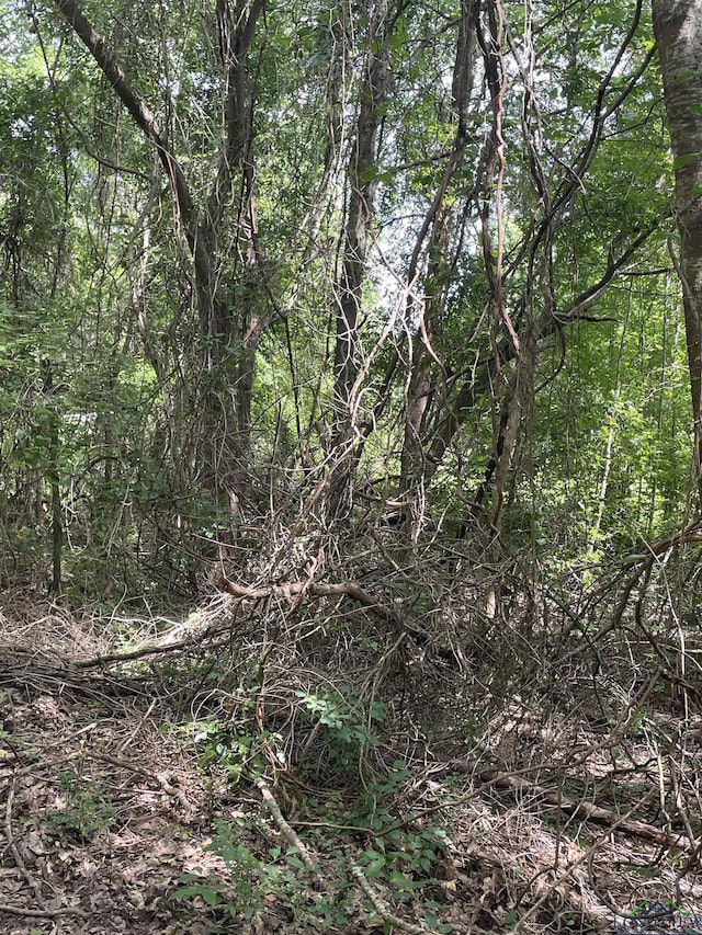 TBD Fm 557, Pittsburg, TX 75686