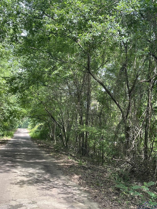 TBD Fm 557, Pittsburg, TX 75686