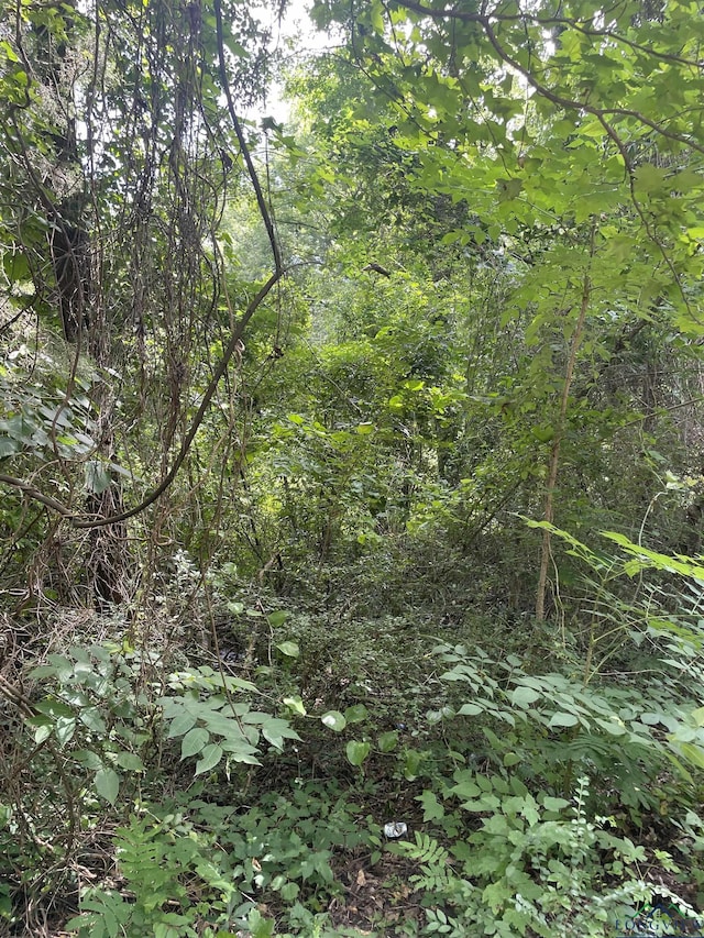 TBD Fm 557, Pittsburg, TX 75686