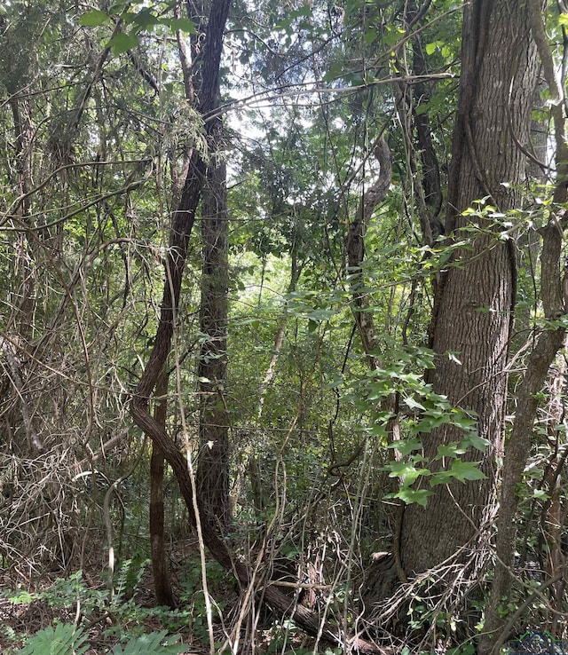 TBD Fm 557, Pittsburg, TX 75686