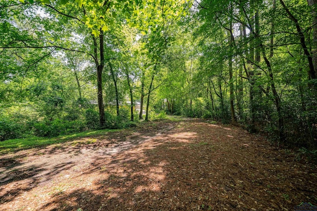 4525 Surratt Rd, Longview, TX 75604 - view of wooded area