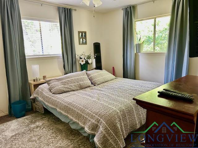 bedroom with multiple windows