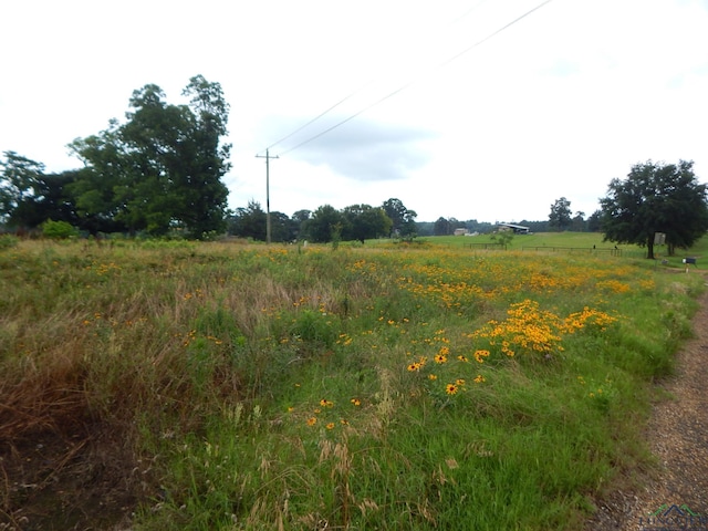 Listing photo 2 for TBD1ACRE Fm 1404, Big Sandy TX 75755