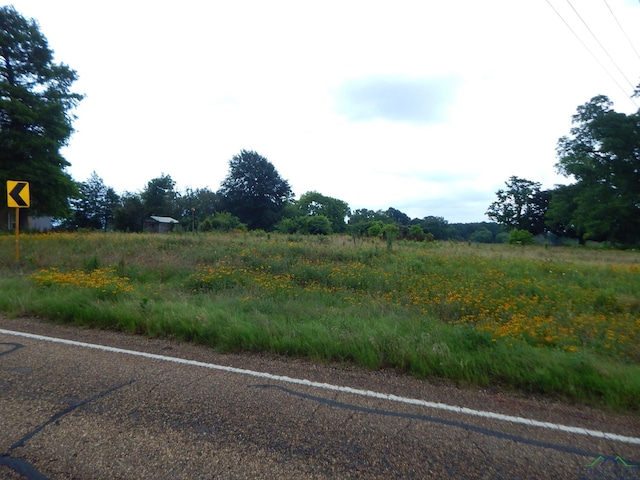 Listing photo 3 for TBD1ACRE Fm 1404, Big Sandy TX 75755