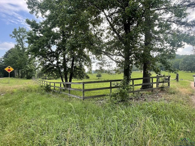 view of yard with a rural view