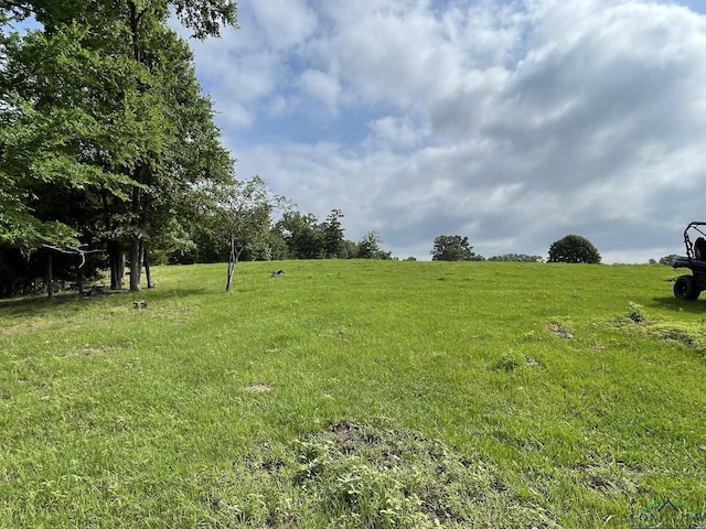 view of yard with a rural view