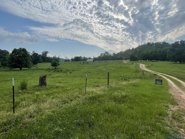 view of yard featuring a rural view