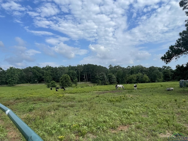 view of local wilderness featuring a rural view