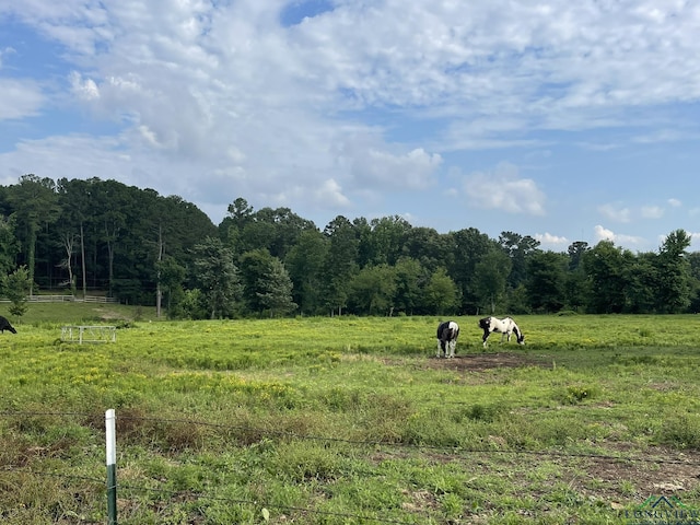 view of nature featuring a rural view