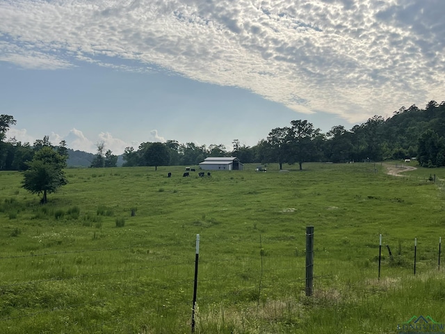 view of yard with a rural view